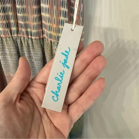 Charlie Jade Ava Multicolored Sleeveless Beaded Neck  Maxi Dress Size XS NWT - Picture 11 of 12